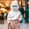 usercoolcat3