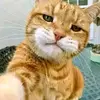 si_oyen013