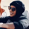 cobra.kurdish