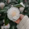 mrhussain479
