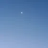 simo10041977