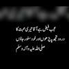 zohandanish85