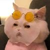 user76906095754120hello