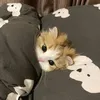 conmeobngu