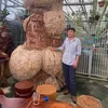 nguyen_hieu1368