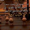 userwmr8lw6trp