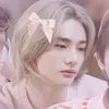 skz_elisa7
