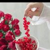 user81795720515196