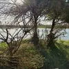 bshargoran8
