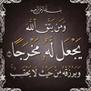 user9631728050907