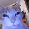 miguelsanchez_010