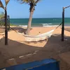 shena_7707