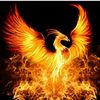 phoenixrising1937