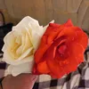 user539seqvtk6