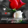 uservyc66m4hh7