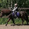 annaampiainen