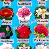 allahisthebestplanner03