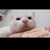 mona.ahmed2526