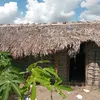 elielmorais130