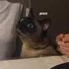 rediskasiska