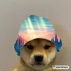 vuk_samardzic