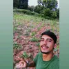 kauafernandes172