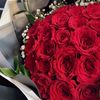 amany_mq