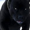 user5764151194317