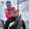 hobimancingdipapua