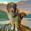 eastcoastalaskandogmom