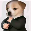 userqk6sqcizi2