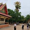 phimpha_18