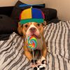 .thebblbandit