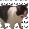 uiiaiu123