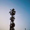 Travelblues