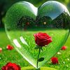 azan.ali.com1