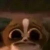 randomd4rk