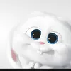 98rofi_a