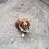 userfeddbbuyok