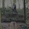 lucas_sdn_mtb