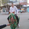 otmanfaris15