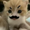 connguoibanchat0908