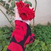 esraa_alhiary