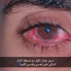 _morady_711