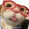hard_43201