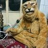 lion_king4u