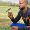 hassandh526