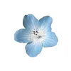 hilma_133