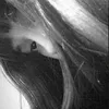 borntodiee_02