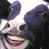 mooo.mooooo